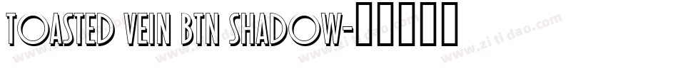 Toasted Vein BTN Shadow字体转换